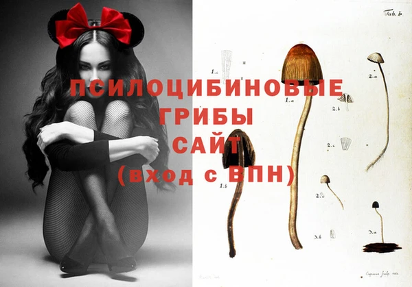 СК Абинск