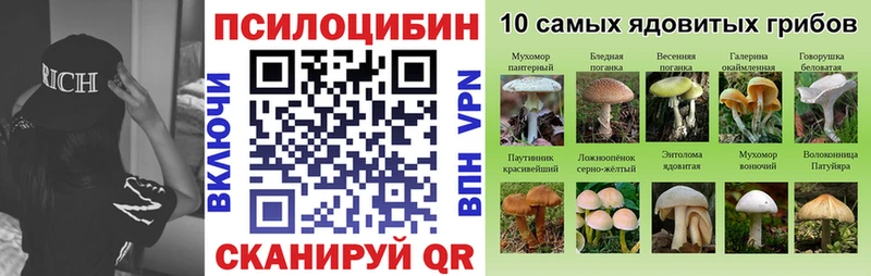 Галлюциногенные грибы мицелий  купить закладку  Димитровград 