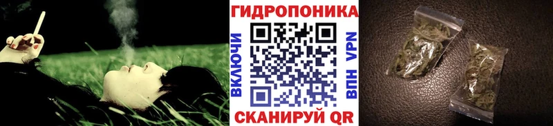 Марихуана AK-47  купить  цена  Димитровград 